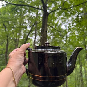 May include: A dark brown ceramic teapot with a lid and a handle. The teapot has gold-colored stripes around the body and a gold accent on the spout. The background is a blurred view of a green forest.