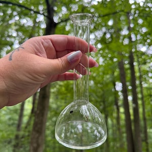 Vintage Glass Science Chemistry Beaker Propagation Vase MCM Clear Glass
