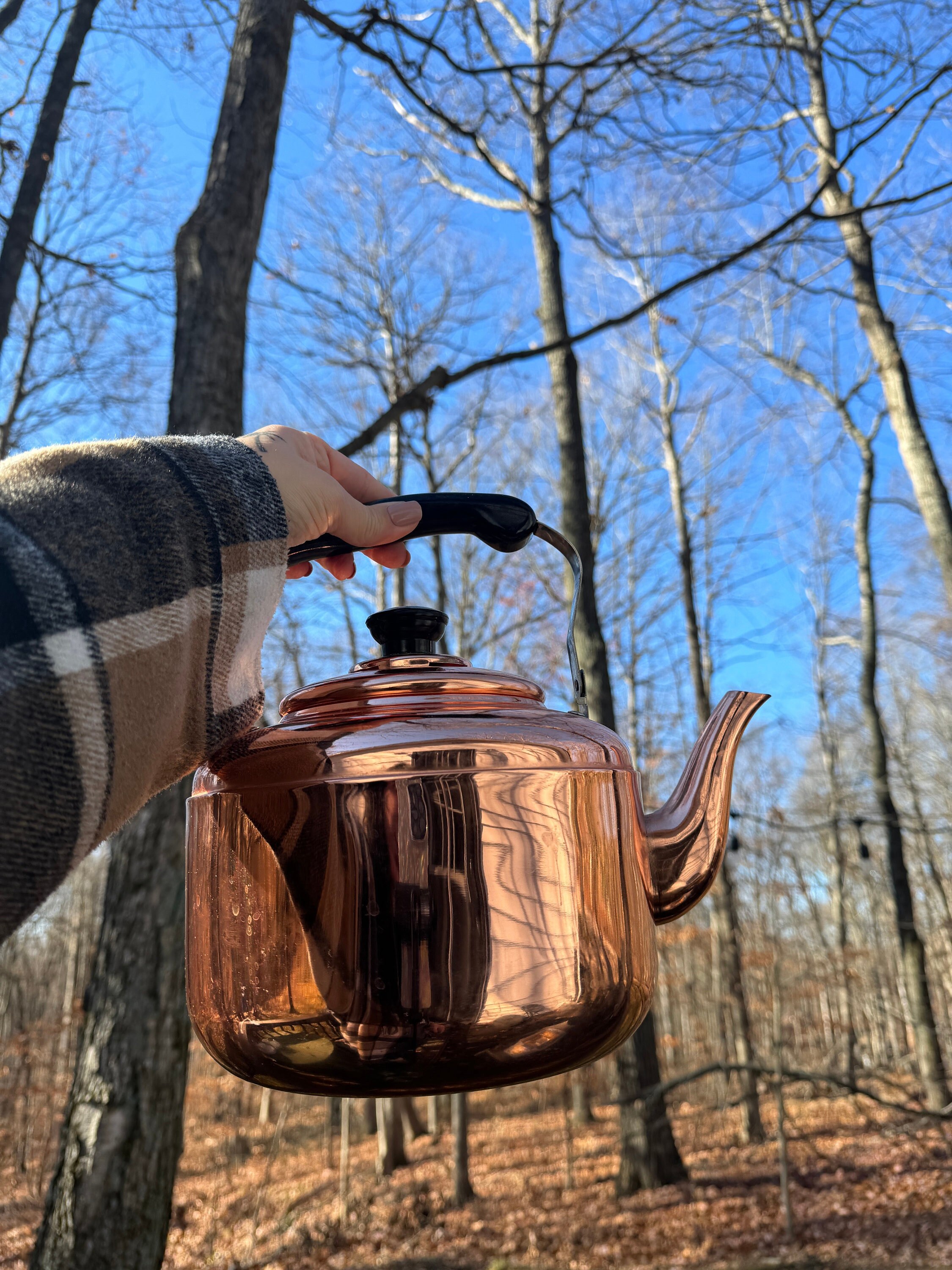 Heirloom Copper Tea Kettle Martha Stewart Collection Created for