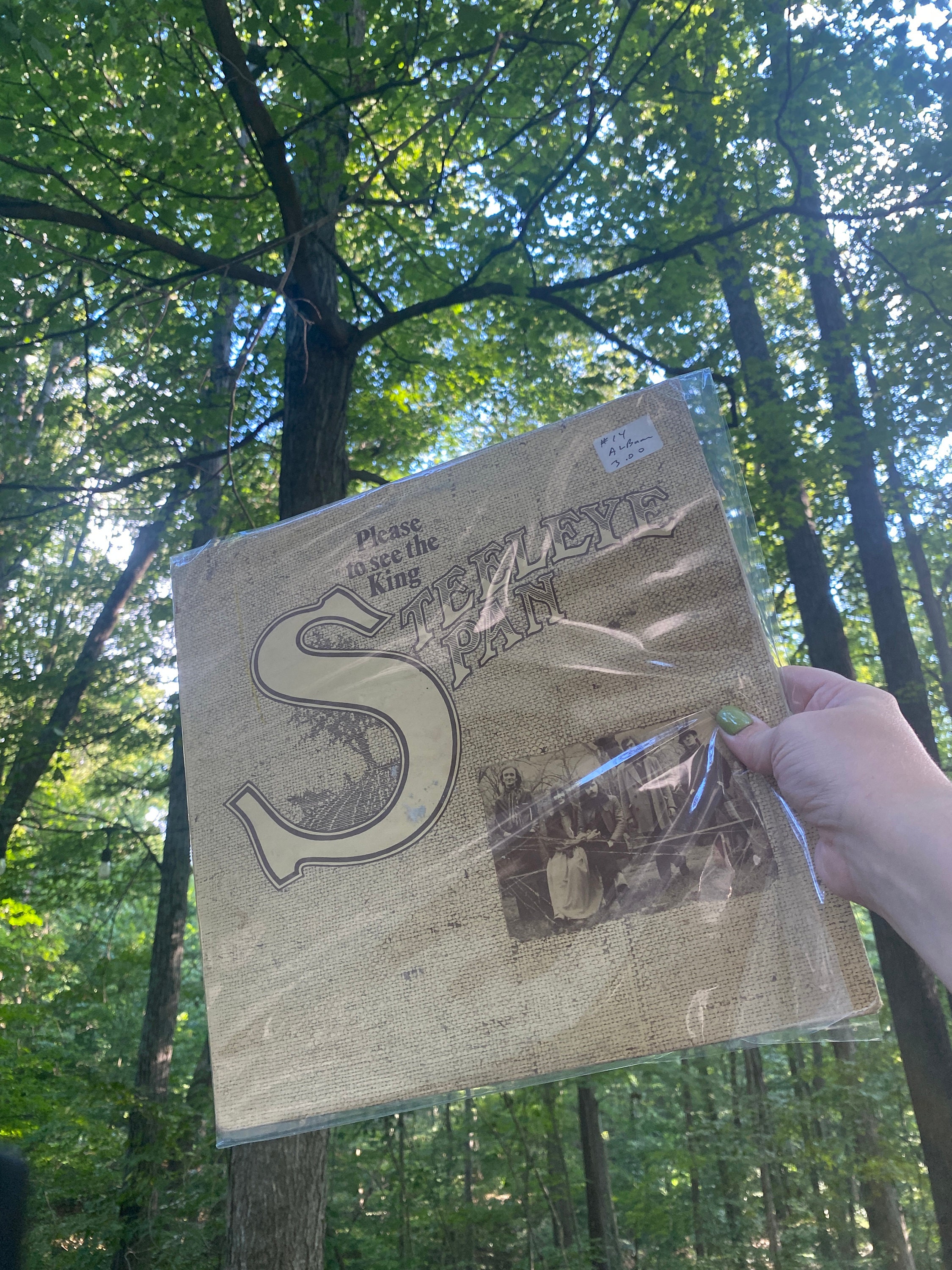 Steeleye Span – Please to See the King Music Vinyl LP Record