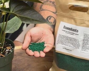 Slow Release Plant Fertilizer 2lbs for Indoor Houseplants & Outdoor Flowers – Organic, Long-Lasting Plant Food