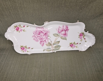 Bandeja Art Nouveau de 16,5 pulgadas de Rosenthal Bavaria de principios del siglo XX, pintada a mano