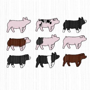 Full Color Show Pigs-Hampshire-Poland-Berkshire-Blue Butt-Yorkshire-Spotted Pig-Spot Pig-Landrace-Hereford- Duroc-Show Pigs Stickers