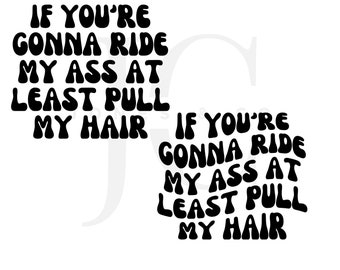 If You're Gonna Ride My Ass At Least Pull My Hair, Car Decal, Funny Car Decal, SVG, PNG, Sassy Car Decal, Digital Download, Bumper Sticker