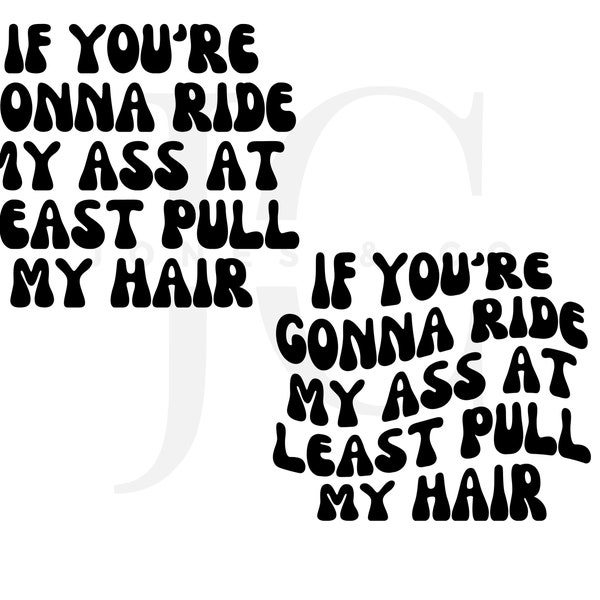 If You're Gonna Ride My Ass At Least Pull My Hair, Car Decal, Funny Car Decal, SVG, PNG, Sassy Car Decal, Digital Download, Bumper Sticker