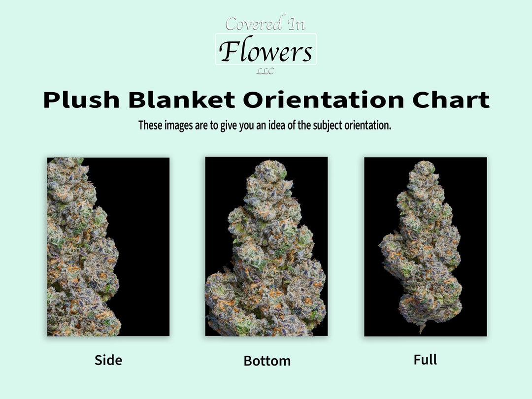 Cozy Blanket, Cannabis, Flower, Weed, 420, Plant Medicine, Macro