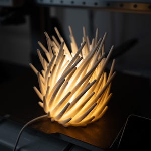 Könnte beinhalten: Eine dekorative Lampe mit einem einzigartigen, stacheligen Design. Die Lampe strahlt ein warmes Leuchten aus, mit zahlreichen weißen, länglichen Vorsprüngen. Sie ist über ein dünnes Kabel mit einer Stromquelle verbunden. Das Design ist modern und künstlerisch.