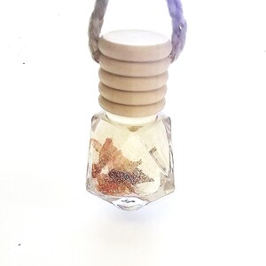 May include: A small, clear glass bottle with a wooden cap and a decorative hanging cord. The bottle contains dried flowers and a light-colored liquid. The bottle is hanging against a white background.