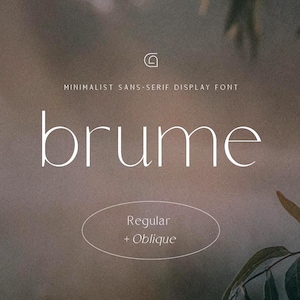 Brume Minimalist Sans-Serif Display Font | Feminine, Elegant, Lightweight Brand Font