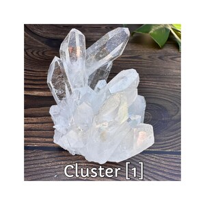 May include: A clear quartz crystal cluster with multiple points. The crystal is mostly transparent with some areas appearing frosted. The base of the cluster is a lighter color. The text "Cluster [1]" is at the bottom.