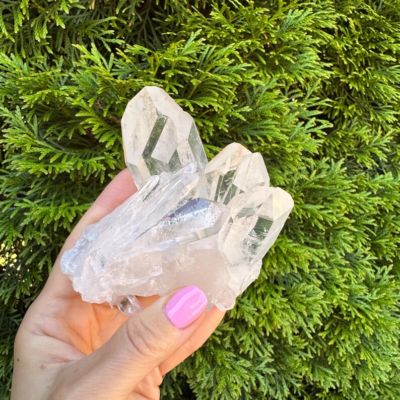May include: A cluster of clear quartz crystals, held in a hand with pink nail polish, against a backdrop of green foliage. The crystals have sharp, defined points and a translucent appearance, showcasing natural formations.