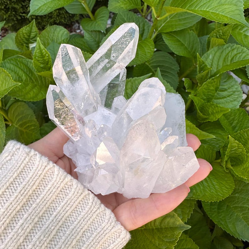 May include: A cluster of clear quartz crystals, held in a hand, with multiple points and facets. The crystals are translucent and reflect light, showcasing their natural formations. The background features green foliage.