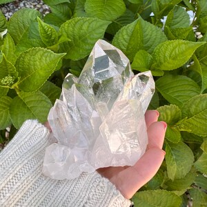 May include: A cluster of clear quartz crystals, held in a hand, against a backdrop of green leaves. The crystals are transparent and faceted, catching the light. The overall aesthetic is natural and organic.