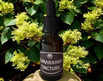 Kumarahou Herbal Tincture | Natural Respiratory & Skin Support | Wildcrafted NZ Native Plant Extract 30 ml