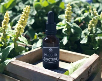 Mullein Herbal Tincture | Natural Lung & Respiratory Support | Organic Herbal Extract 30 ml