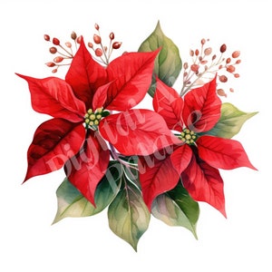 Poinsettia Clipart - Clipart fleur de Noël - JPG - Téléchargement numérique instantané - Art mural imprimable, Planificateur numérique, Fabrication de cartes,