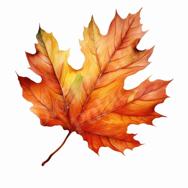 Fall Leaf Clipart Bundle, Autumn Leaf Watercolor Clipart, JPGs, Instant Digital Download, Printable Wall Art, Digital Planner, Junk Journals
