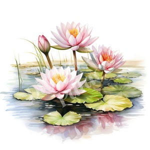 Water Lily Clipart, July Birth Flower Clipart, JPG, Téléchargement numérique instantané, Art mural imprimable, Junk Journals, Scrapbooking, Fabrication de cartes