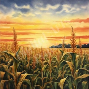 May include: A watercolor painting of a field of corn stalks at sunset. The sky is a vibrant orange and yellow, with wispy clouds. The corn stalks are green and brown, with the tops of the stalks reaching up towards the sky.
