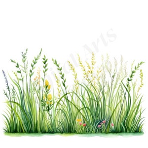 Grass Clipart Bundle, Green Meadow Clipart, JPGs, Instant Digital Download, Printable Wall Art, Junk Journals, Scrapbooking, Card Making