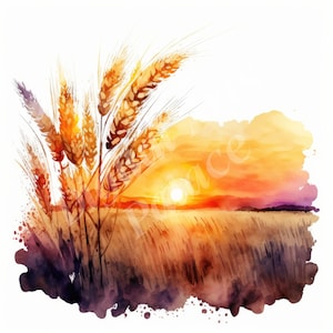 May include: Watercolor painting of a field of wheat with a sunset in the background. The wheat is a golden yellow color and the sunset is a mix of orange, yellow, and pink.