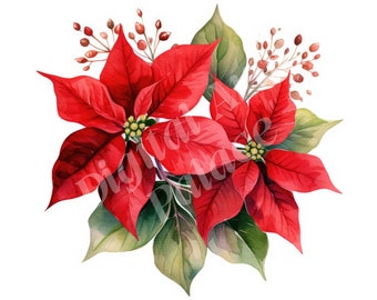 Poinsettia Clipart -  Christmas Flower Clipart - JPGs - Instant Digital download - Printable Wall Art, Digital Planner, Card Making,