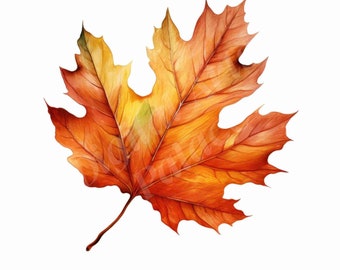 Fall Leaf Clipart Bundle - Autumn Leaf Watercolor Clipart - PNGs - Instant Digital Download - Printable Wall Art, Digital Planner