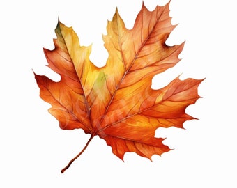 Fall Leaf Clipart Bundle, Autumn Leaf Watercolor Clipart, JPGs, Instant Digital Download, Printable Wall Art, Digital Planner, Junk Journals