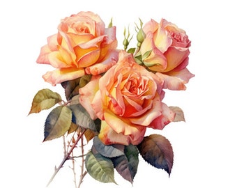 Peach Roses Clipart - Watercolor Floral Clipart - JPGs - Instant Digital Download - Printable Wall Art, Digital Planner, Junk Journals