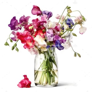 Clipart de ervilhas doces, clipart de flor de nascimento de abril, JPGs, download digital instantâneo, arte de parede para impressão, álbum de recortes, confecção de cartões, diários indesejados