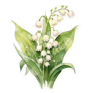 Lily Of The Valley Clipart, May Birth Flower Clipart, JPG, Téléchargement numérique instantané, Art mural imprimable, Fabrication de cartes, Junk Journals