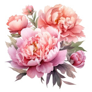 Clipart de pivoine, Clipart de fleur de naissance de novembre, JPG, Téléchargement numérique instantané, Art mural imprimable, Planificateur numérique, Fabrication de cartes, Scrapbooking