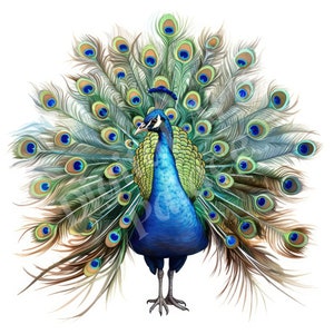 Las mejores ofertas en Azul pavo real Plumas para Manualidades