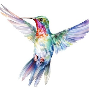 Kolibri Clipart - Vogel Clipart - JPGs - Sofortiger digitaler Download - druckbare Wandkunst, digitaler Planer, Junk Journals, Papierhandwerk