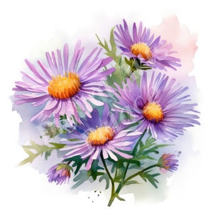 Asters Clipart, Clipart fleur de naissance septembre, JPG, Téléchargement numérique, Art mural imprimable, Planificateur numérique, Fabrication de cartes, Journaux indésirables