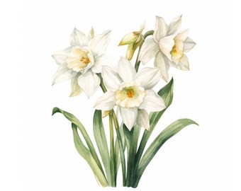 Narcissus Clipart, December Birth Flower Clipart, JPGs, Instant Digital Download, Printable Wall Art, Digital Planner, Card Making