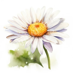 Daisy Clipart, April Birth Flower Clipart, JPG, Téléchargement numérique instantané, Art mural imprimable, Fabrication de cartes, Junk Journals, Scrapbooking