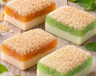 Handmade Loofah Soap Bar: Donkey Milk, Honey & Aloe Vera - Vegan Skincare Gift