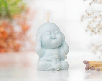 I Didn't See, Hear, Know Soy Candle: Funny Sarcastic Home Decor Gift