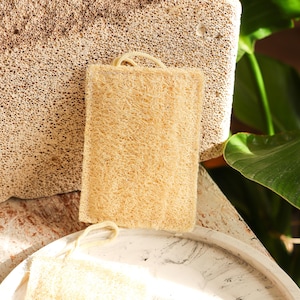 Natural  Eco-Friendly Loofah Dishwashing Sponge, Plastic-Free-Zero Waste  Organic Dishwashing, Biodegradable& Sustainable Kitchen Sponge