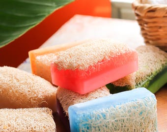 Wholesale Vegan Luffa Soap Bars - Exfoliating & Moisturizing - All Natural Ingredients - Personalized- Natural Loofah Soaps