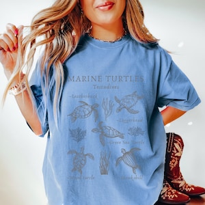 May include: A light blue t-shirt featuring a graphic of various sea turtles, including Leatherback, Loggerhead, Green Sea Turtle, Wood turtle, and Hawksbill. The text "MARINE TURTLES Testudines" is printed above the illustrations.