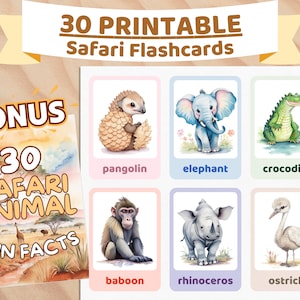 30 SAFARI ANIMAL Flashcards for Kids | Printable Flashcards, Montessori Cards, Interactive Learning, Kids Flashcard, Instant Download, Bonus