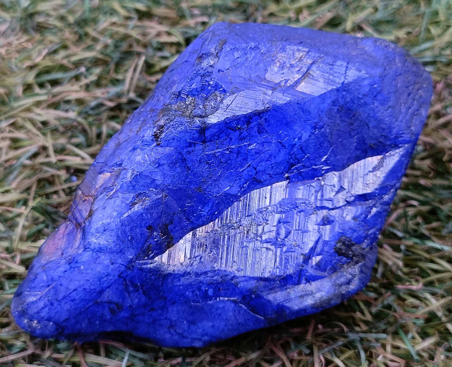 Saphir Naturel Bleu Ovale De 1,54 Carat - Semi-transparent - Pierre Fine Non Montée