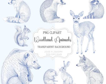 Woodland Animals Clipart, Blue Toile Nursery Illustrations, Chinoiserie Forest Animal PNG Set