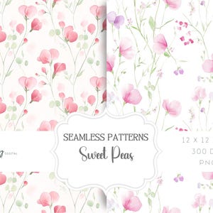 May include: Two seamless patterns featuring watercolor illustrations of pink sweet peas on a white background. The patterns are 12 x 12 inches and 300 DPI. The text "Seamless Patterns Sweet Peas" is displayed in a white banner.
