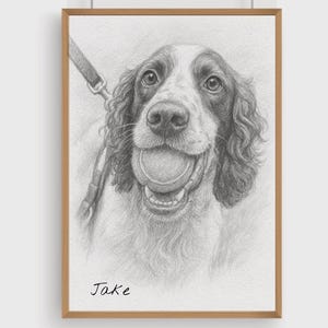 Custom Pet Portrait sketch - Hand Drawn Artwork, hand drawn illustration