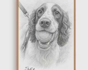 Custom Pet Portrait sketch - Hand Drawn Artwork, hand drawn illustration