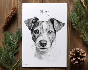 May include: A black and white pencil drawing of a Jack Russell Terrier named Harry. The dog is looking directly at the viewer with a serious expression.