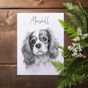 Pencil Sketch Pet Portrait from Photo - Detailed Hand Drawn Pencil Sketch of Your Beloved Pet, Personalized Pet Portrait